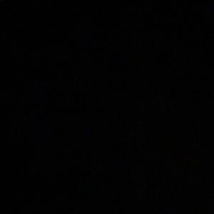 Meet your Posher, Bella